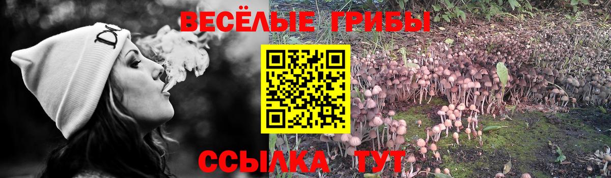 Псилоцибиновые грибы MAGIC MUSHROOMS Канаш