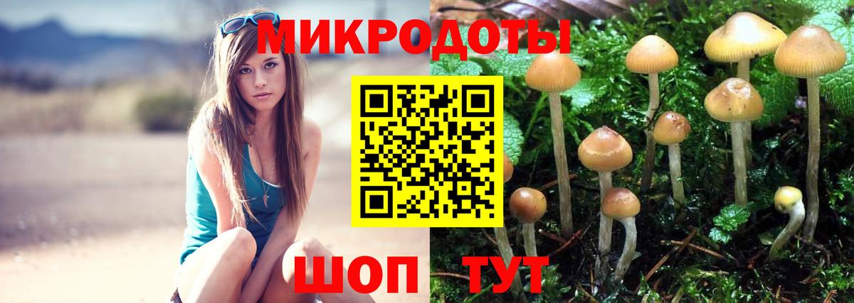 Галлюциногенные грибы GOLDEN TEACHER  продажа наркотиков  Канаш  Псилоцибиновые грибы Psilocybine cubensis  Вход с VPN 