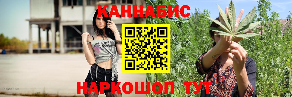 Бошки марихуана план  Бошки Шишки гибрид  Канаш  Вход с VPN 